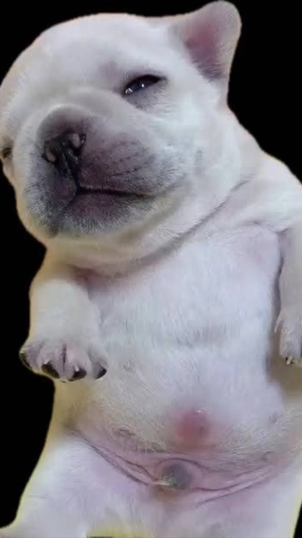 ai character: 007n7 background