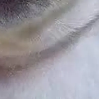 chat with ai character: 007n7