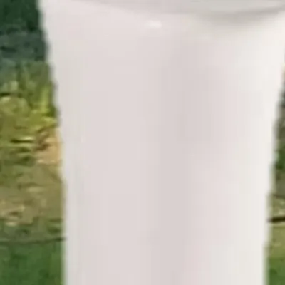 chat with ai character: Free for all