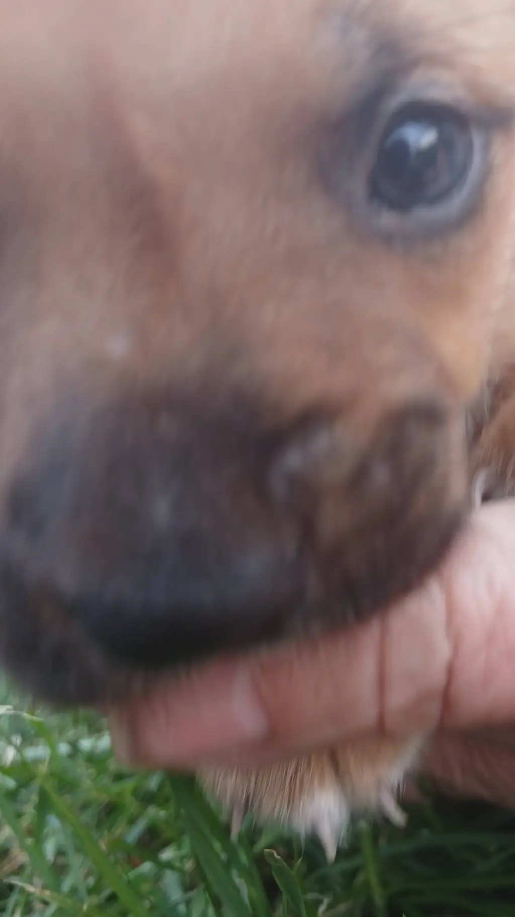 ai character: beanamaker background