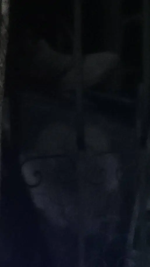 ai character: petapeta background