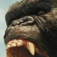 chat with ai character: king kong