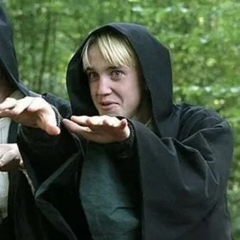 chat with ai character: Draco Malfoy