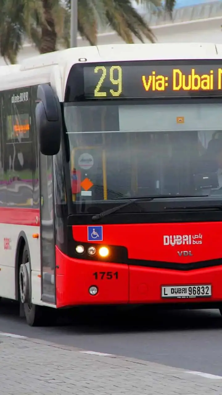 ai character: Calendbuddies trip background