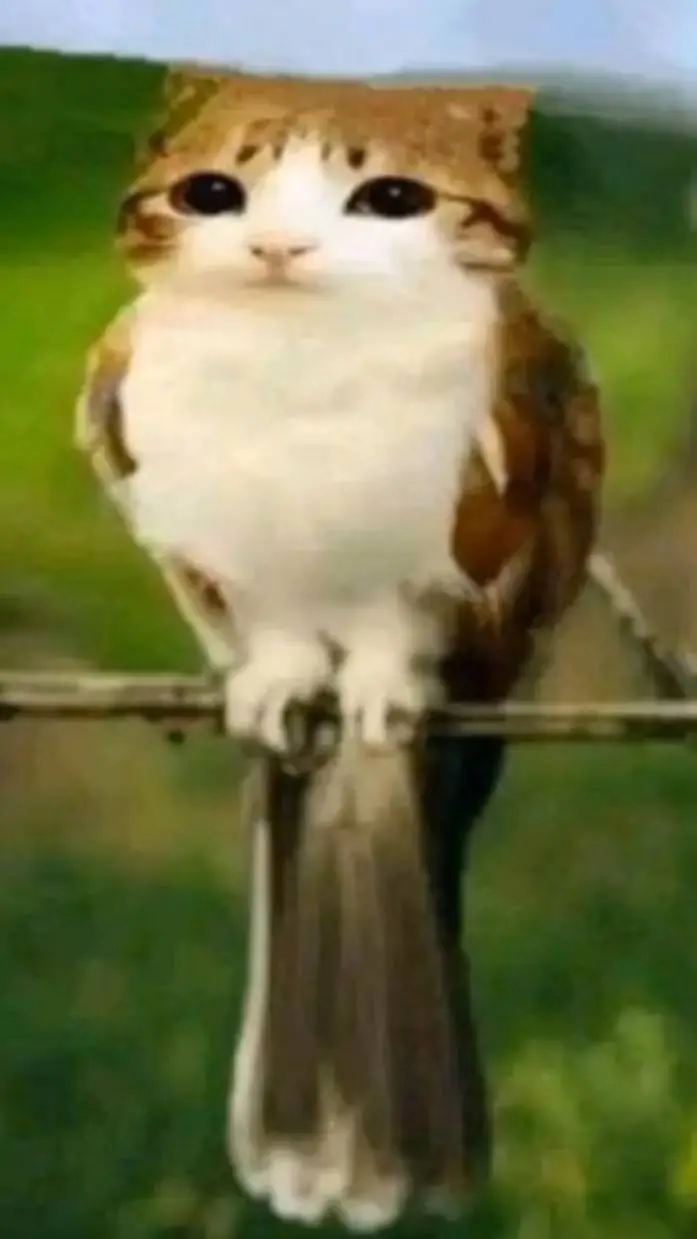 ai character: !DW Christmas! background