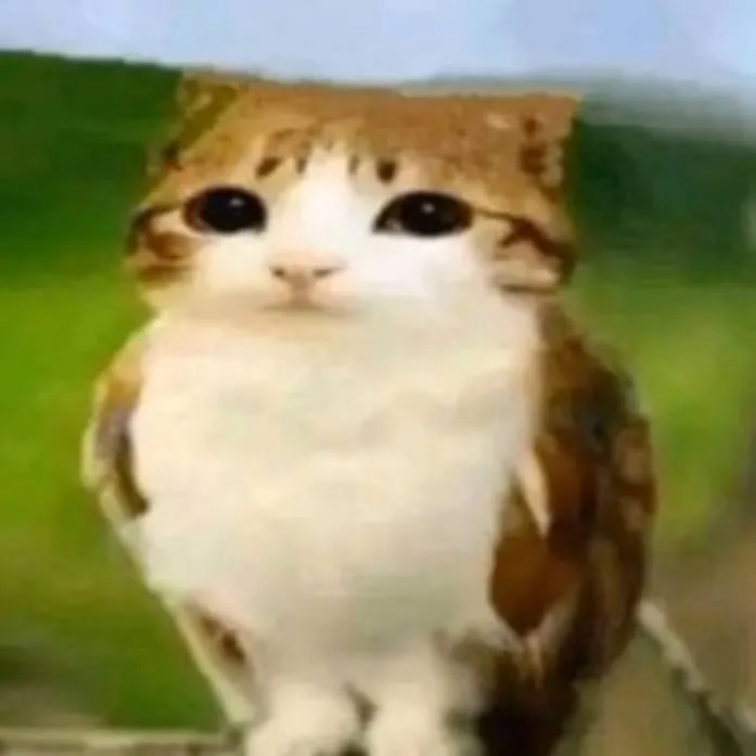 chat with ai character: !DW Christmas!