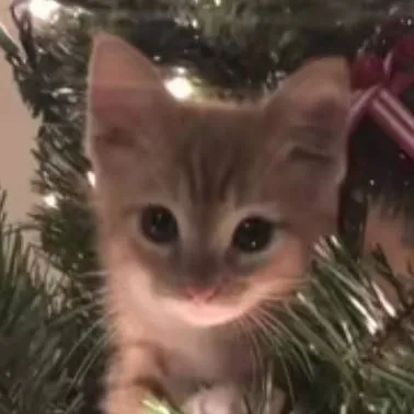 chat with ai character: Sleep over?