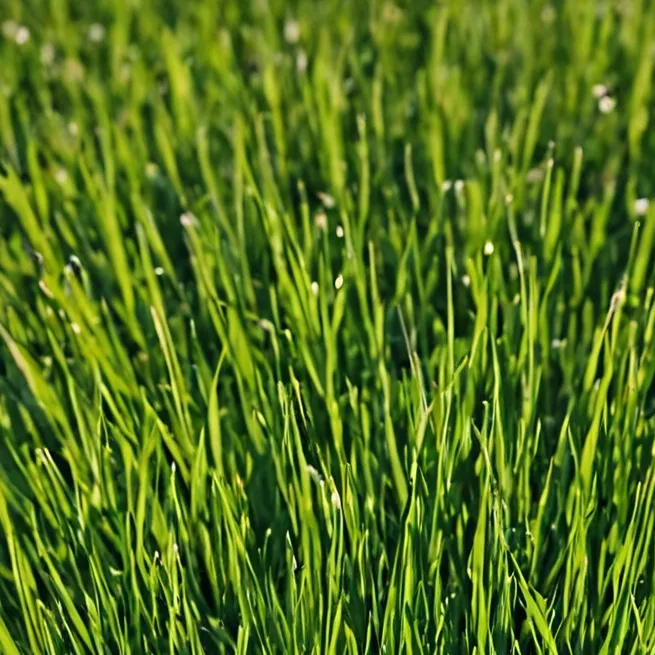 chat with ai character: grass