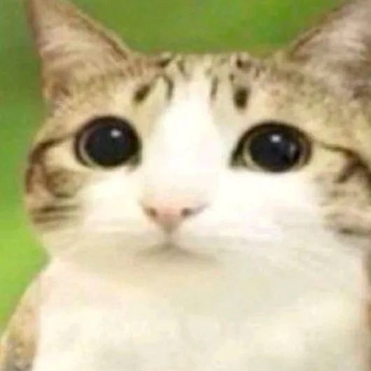 chat with ai character: ~|SONIC PICKME|~