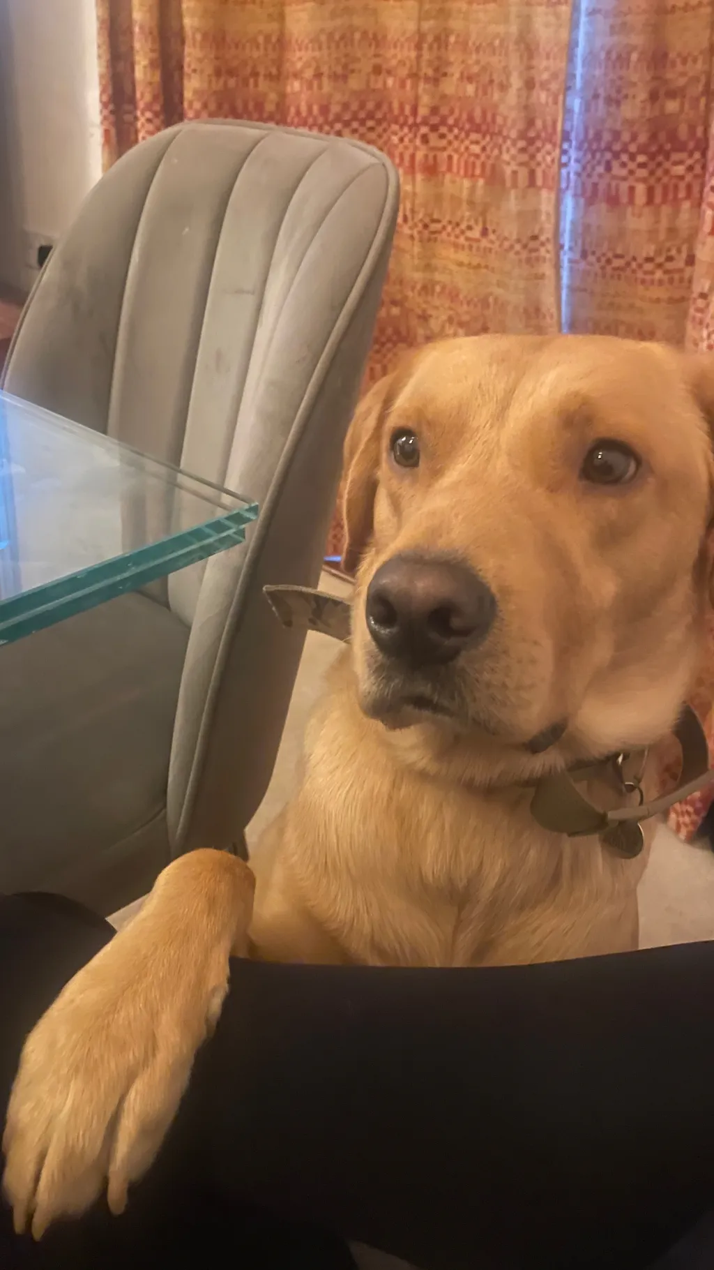 Talkie AI - Chat with Slytherin gang