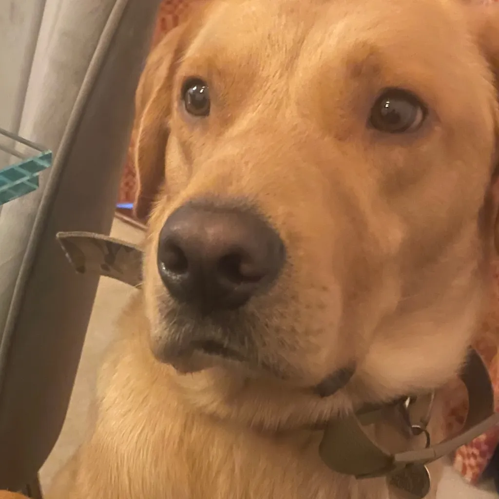 chat with ai character: Slytherin gang