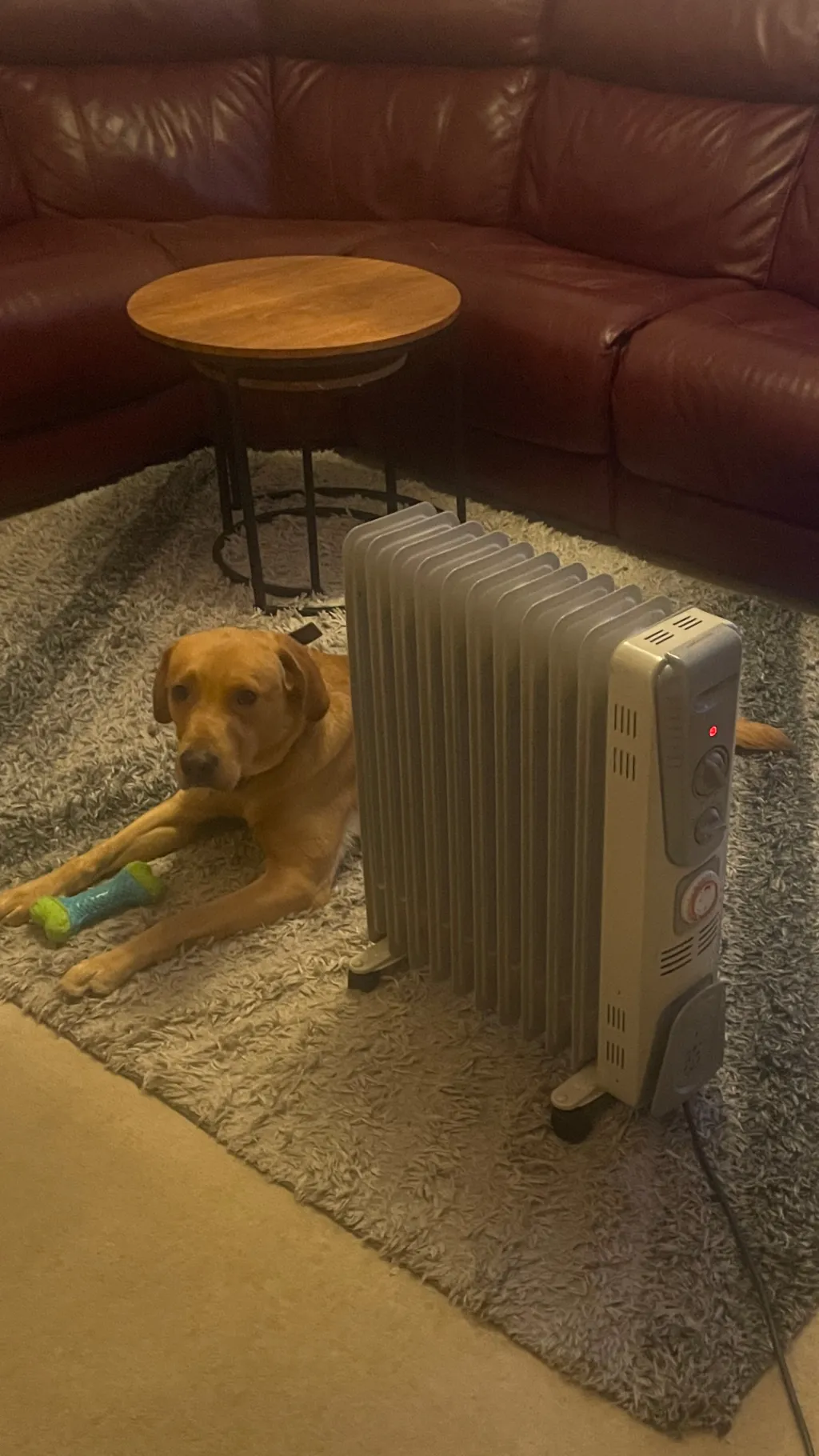 Talkie AI - Chat with Slytherin gang