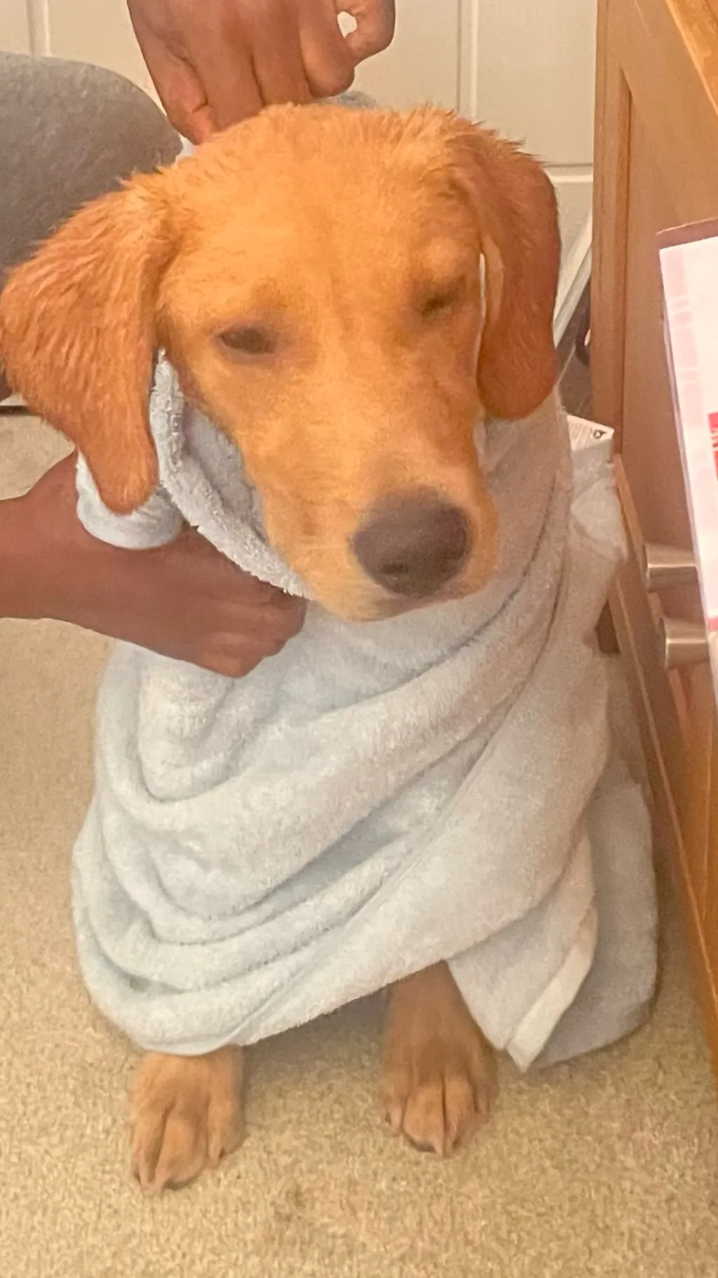 ai character: Slytherin gang background