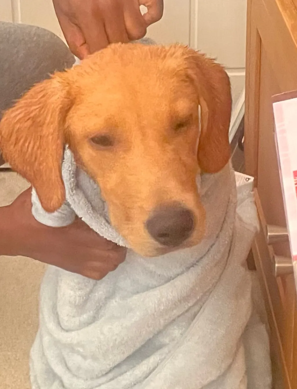 chat with ai character: Slytherin gang