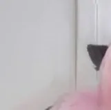 chat with ai character: Belle Delphine