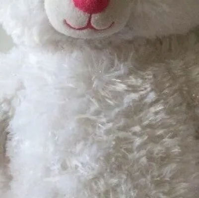 chat with ai character: Elsa the Bear