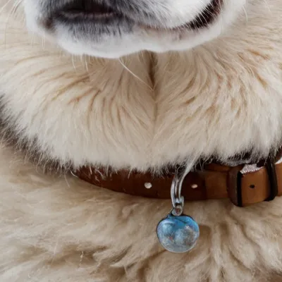 chat with ai character: Princess Daisy