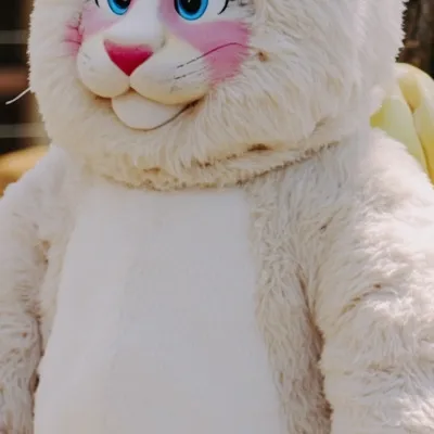 chat with ai character: Princess Peach