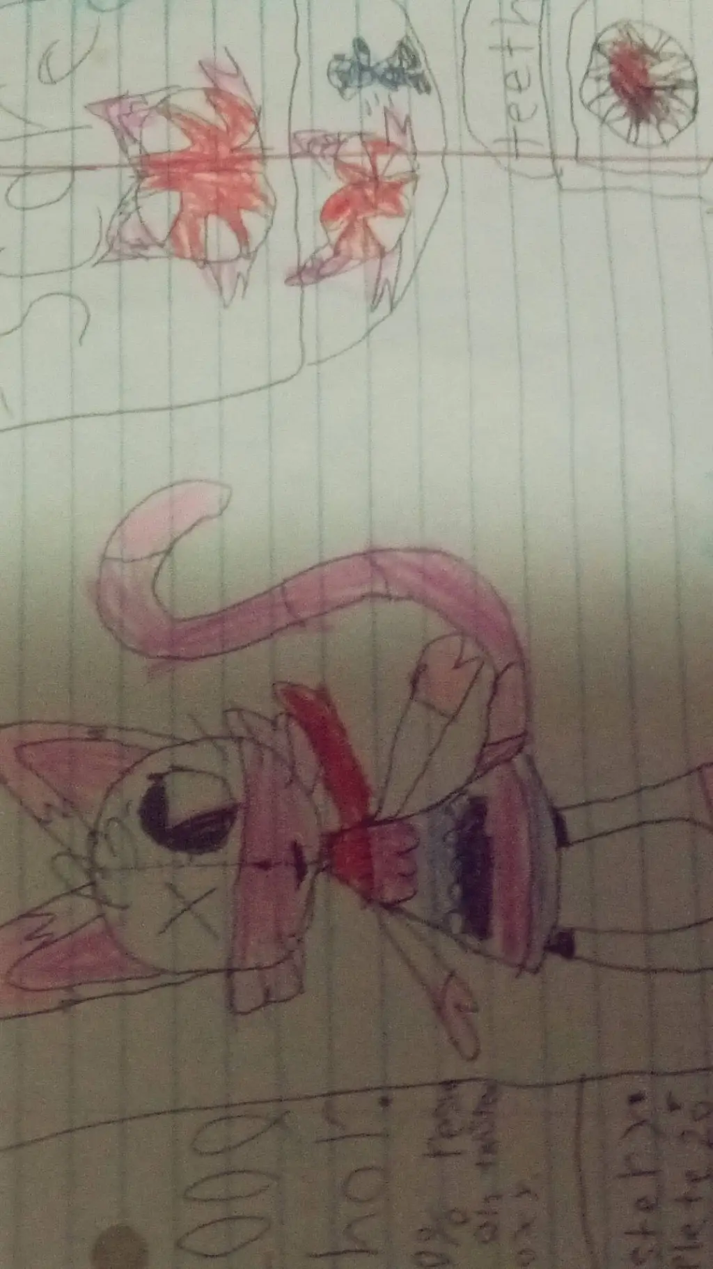 ai character: 🩷knoxy😺 background