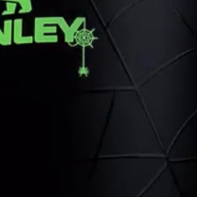 chat with ai character: Spider Stanley
