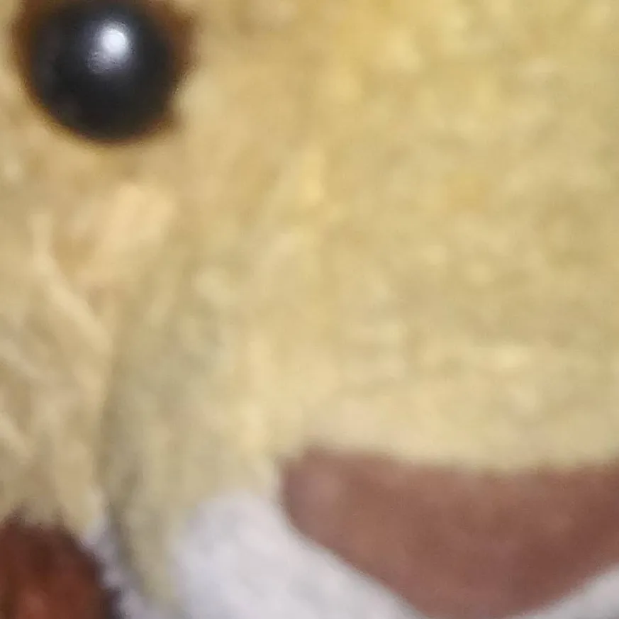 chat with ai character: Stuffed lion