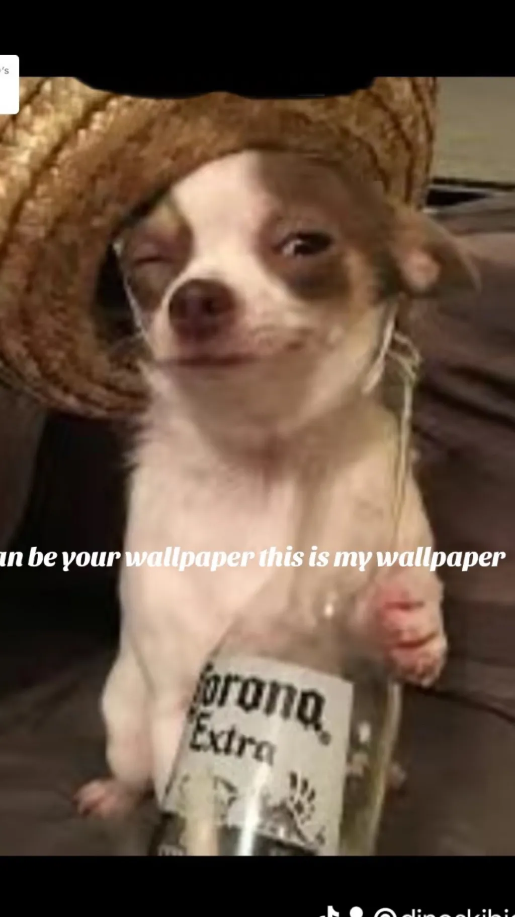 ai character: MEXICO ZAWG background