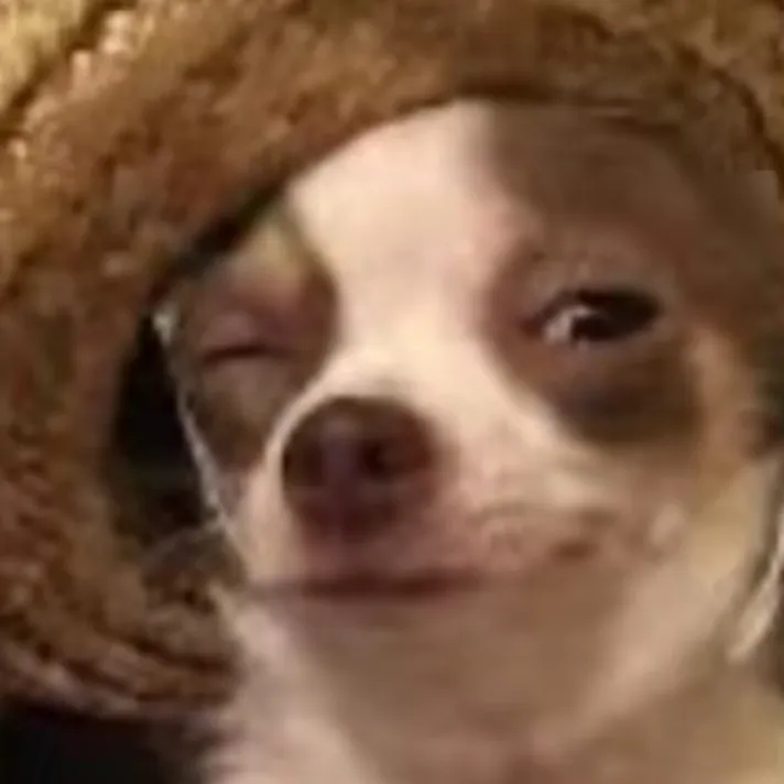 chat with ai character: MEXICO ZAWG