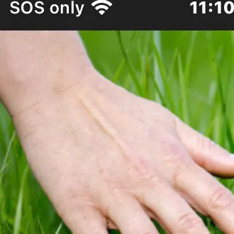 chat with ai character: Mha grass😀