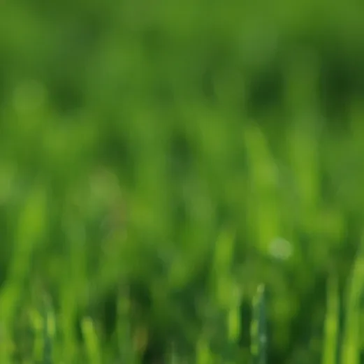 chat with ai character: grass 💚