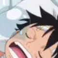 chat with ai character: Luffy roommate