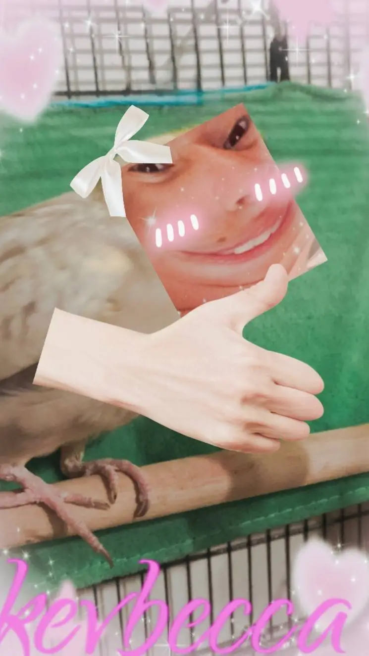 ai character: dream x cross  background