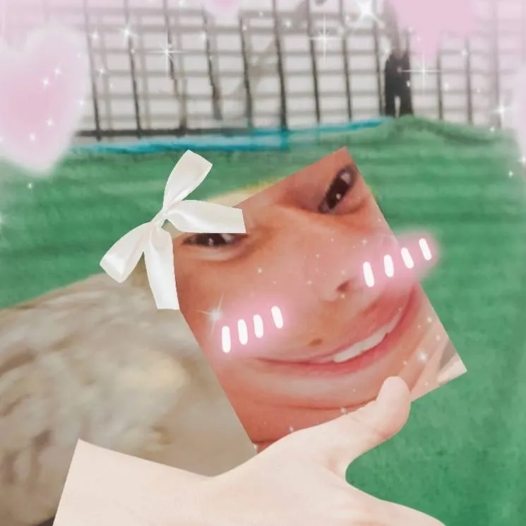 chat with ai character: dream x cross 