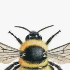 chat with ai character: Dandy :3