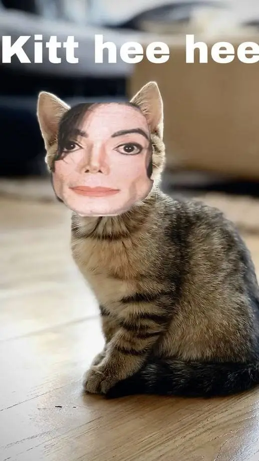 ai character: mj cat background