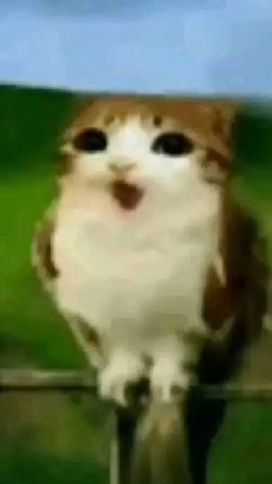 ai character: Dw AEOB #5 background