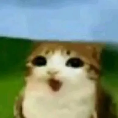 chat with ai character: Dw AEOB #5