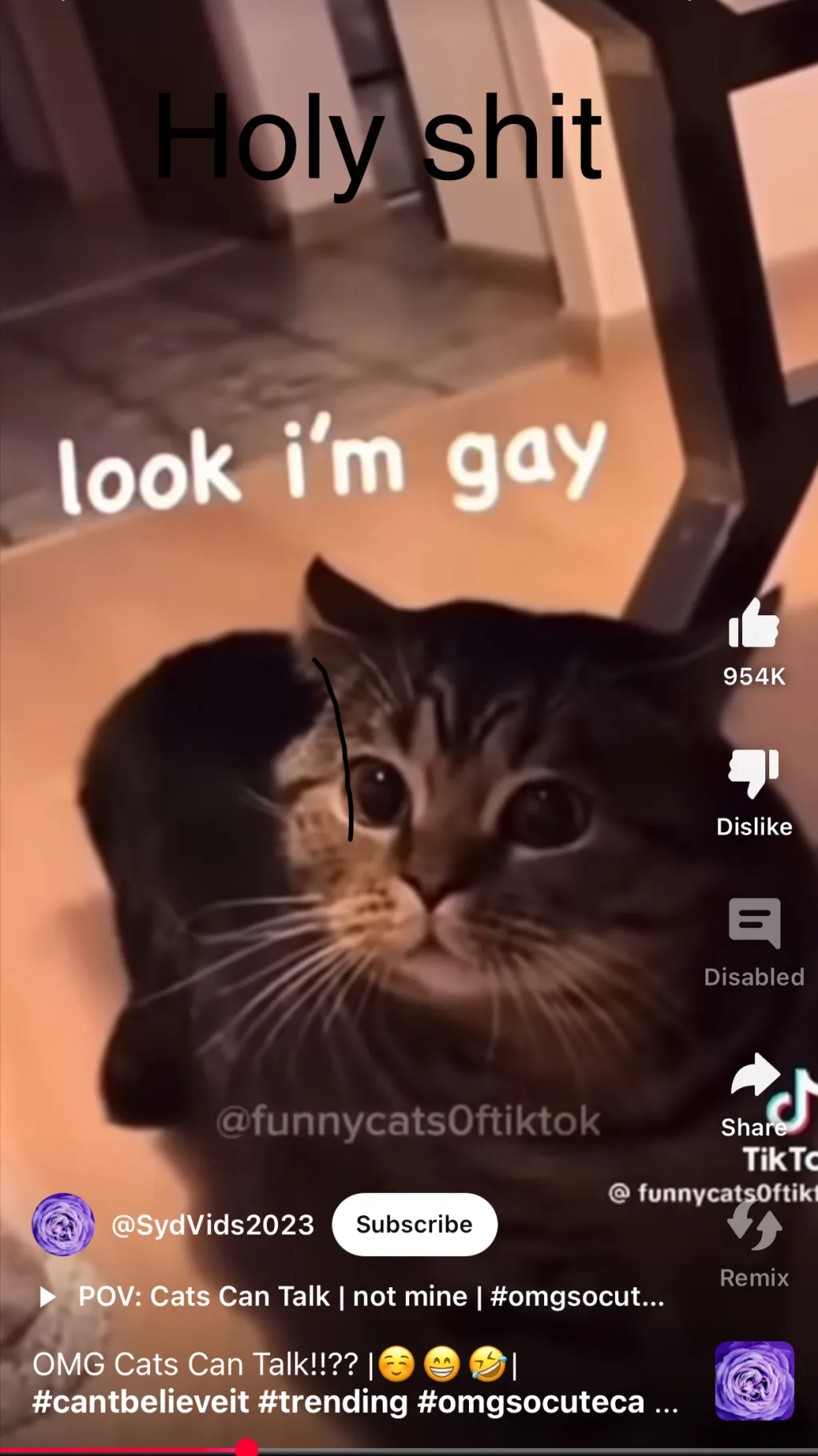 ai character: Cat background