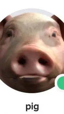 ai character: conscious pig background