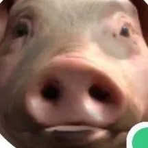 chat with ai character: conscious pig