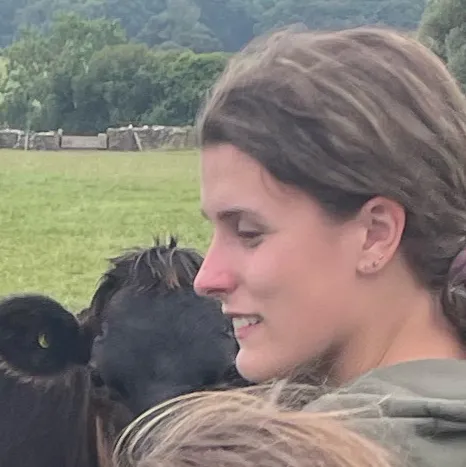 chat with ai character:  The cow 