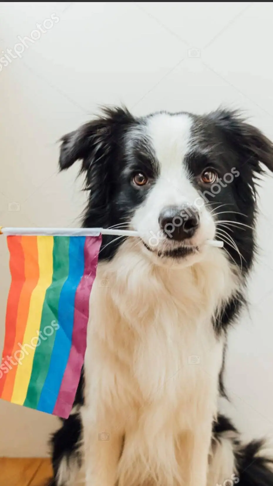 ai character:  Max The Pride Dog background