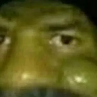 chat with ai character: Shrak