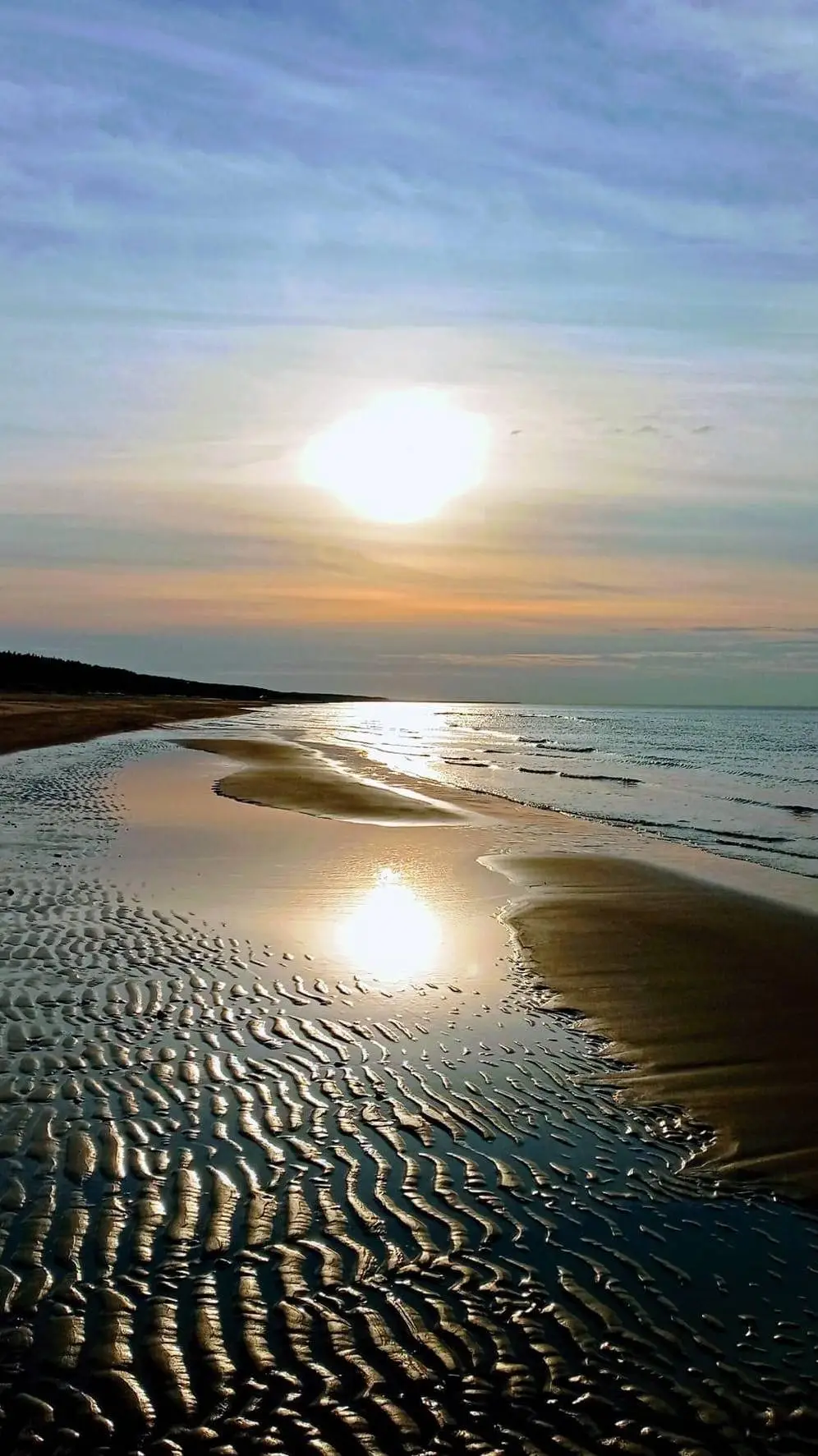 ai character: Free style RP background