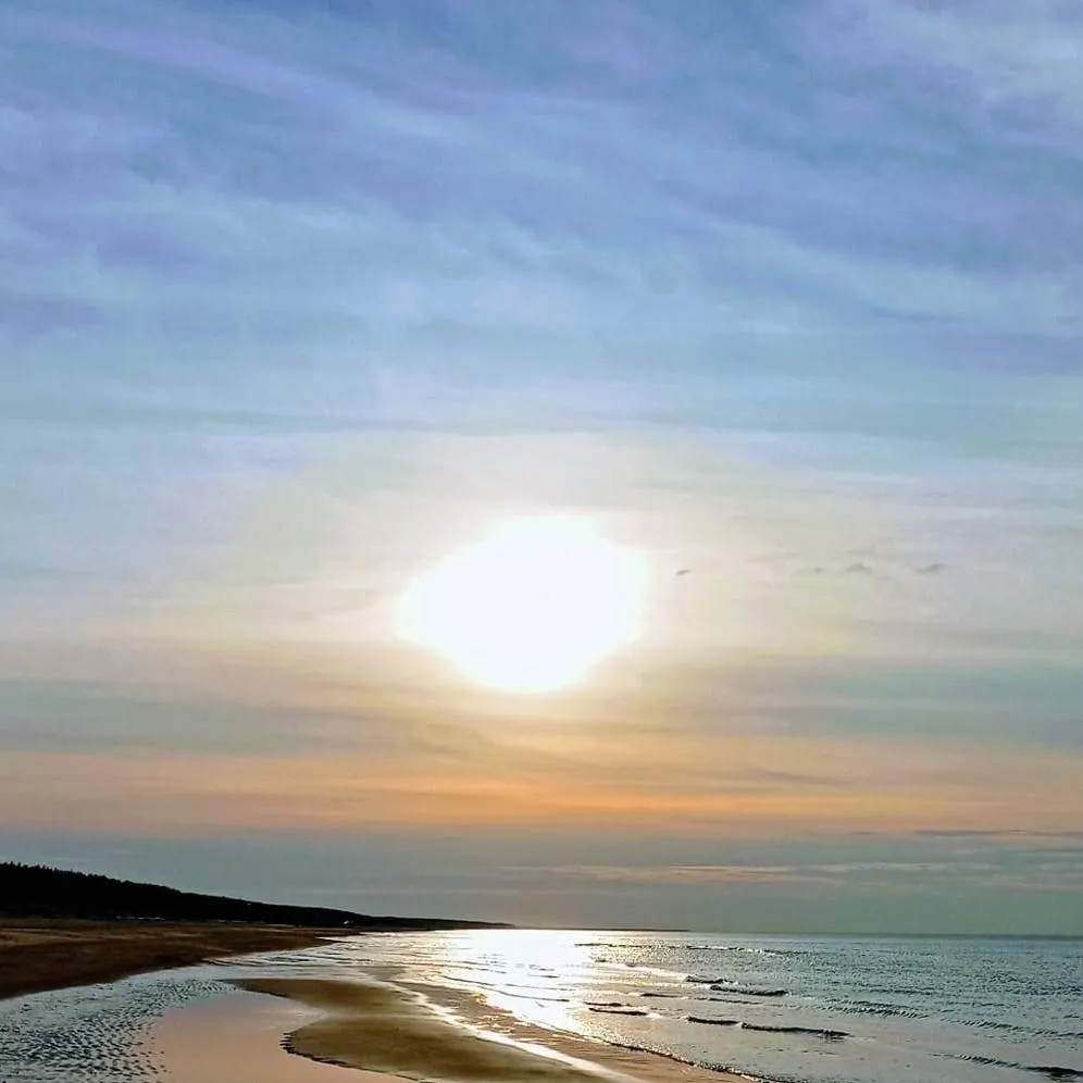 chat with ai character: Free style RP