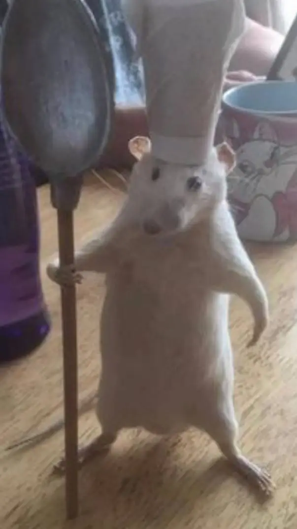 ai character: Skz and BTS😝 background