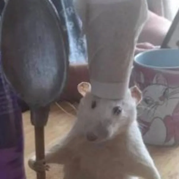 chat with ai character: Skz and BTS😝