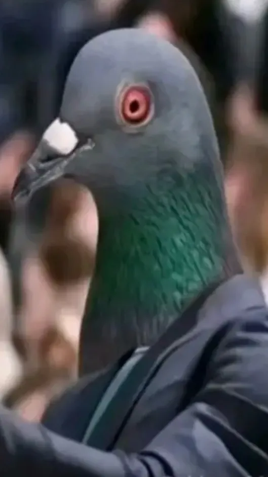 ai character: BRADAR background