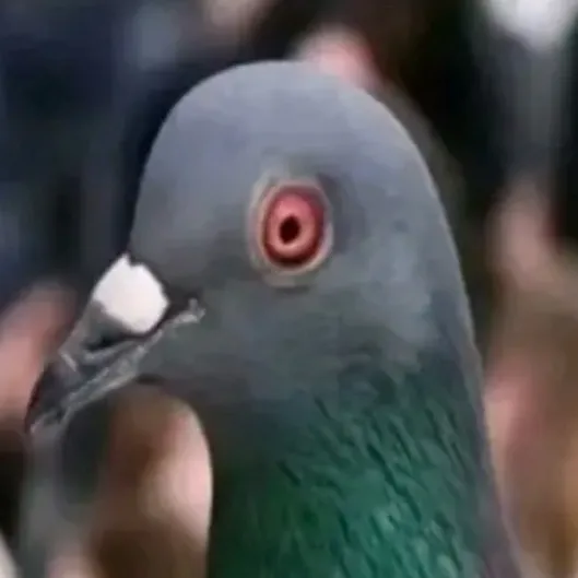 chat with ai character: BRADAR