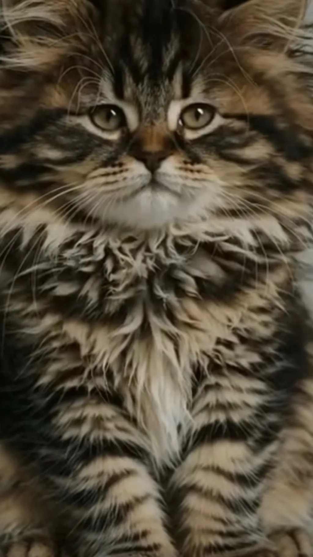 ai character: Fpe protesters  background