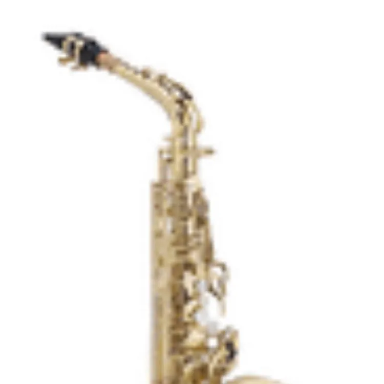 chat with ai character: Saxophone